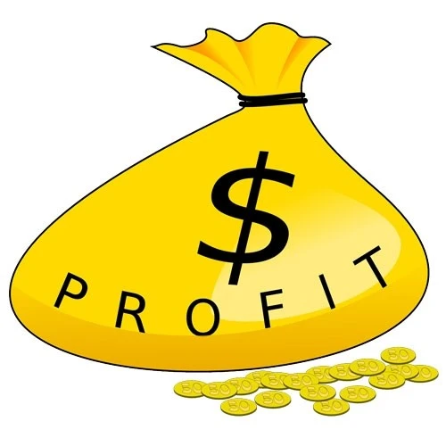 Profit